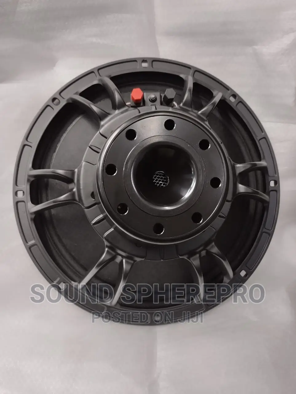 Neodymium 10 Inch Naked Speaker