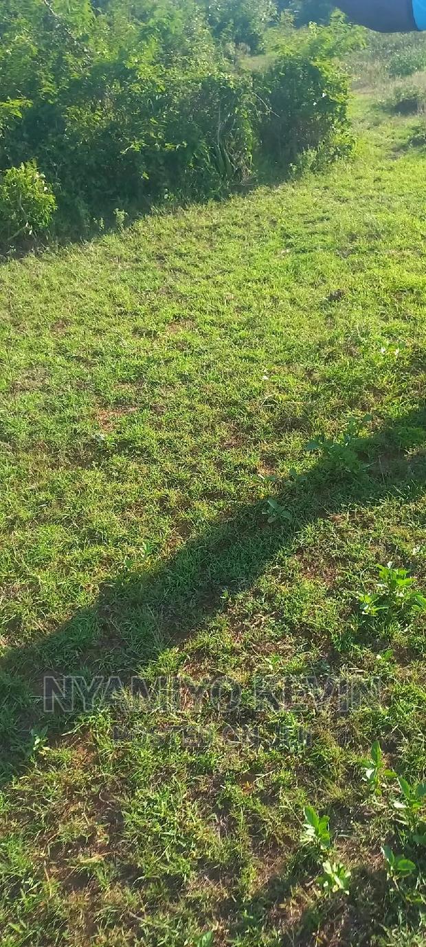 Sakwa Warianda - main view