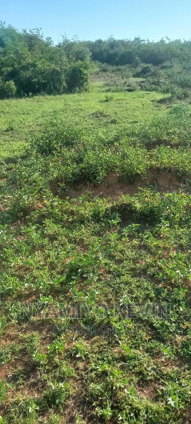 Sakwa Warianda - thumbnail 3