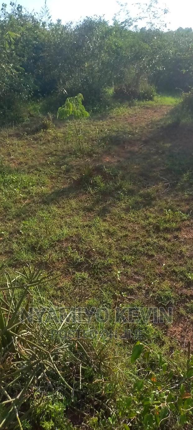 Sakwa Warianda - thumbnail 4