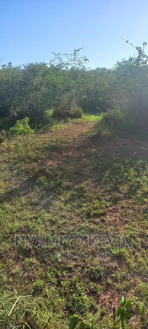 Sakwa Warianda - thumbnail 5