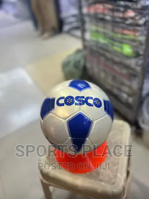 Cosco Professional Training Footballs