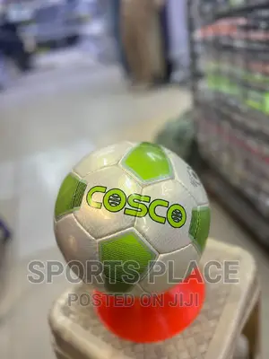 Cosco Professional Training Footballs