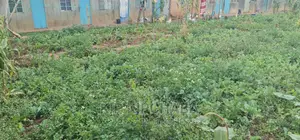 1⁄2 Acre For Ssle In Kapsoya Estate In Eldoret