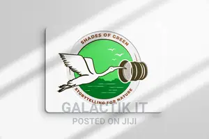 Custom Professional Logo Design in Nairobi - Unlimited Revisions