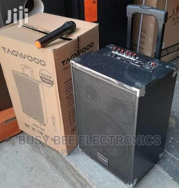 LTS 10 a Tagwood Speaker - main view