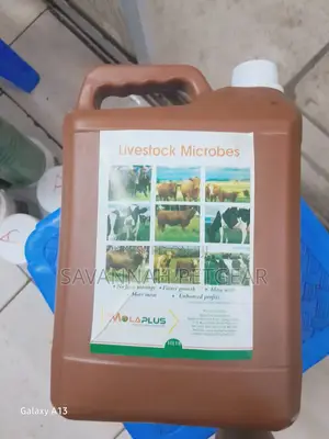 Molaplus Livestock Microbes - 5 Liters