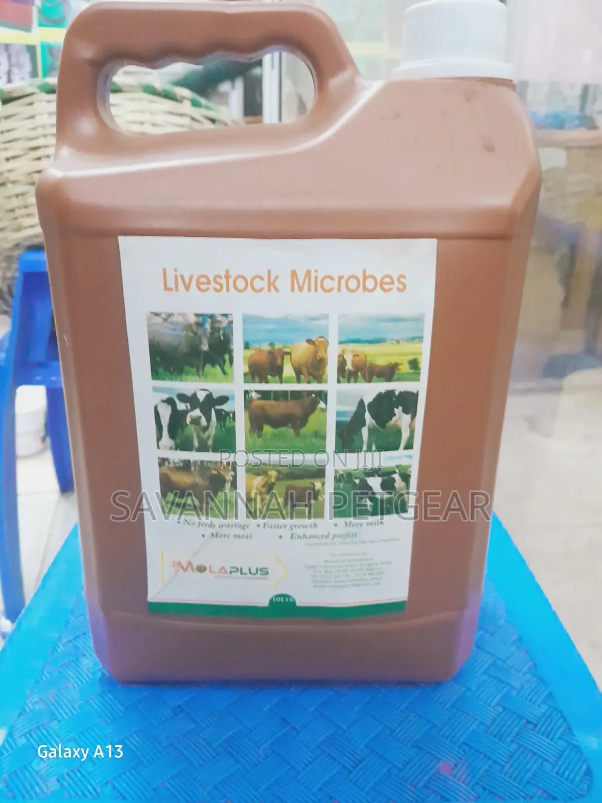 Molaplus Livestock Microbes - 5 Liters