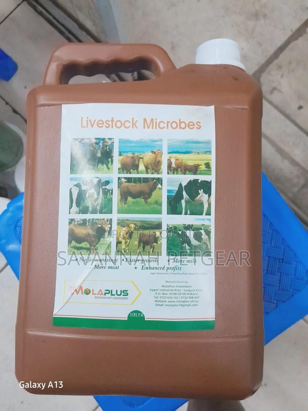 Molaplus Livestock Microbes - 5 Liters - main view