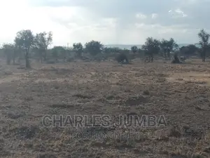 Prime 1/8 Plots Near Umma University.