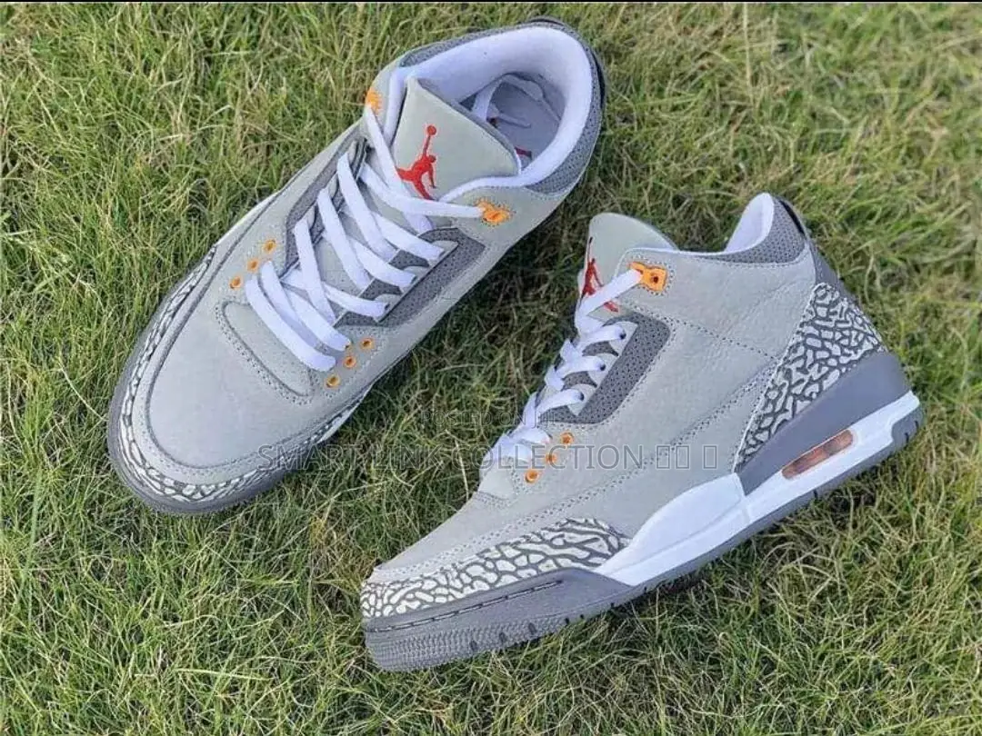 Air Jordan 3 Cool Grey