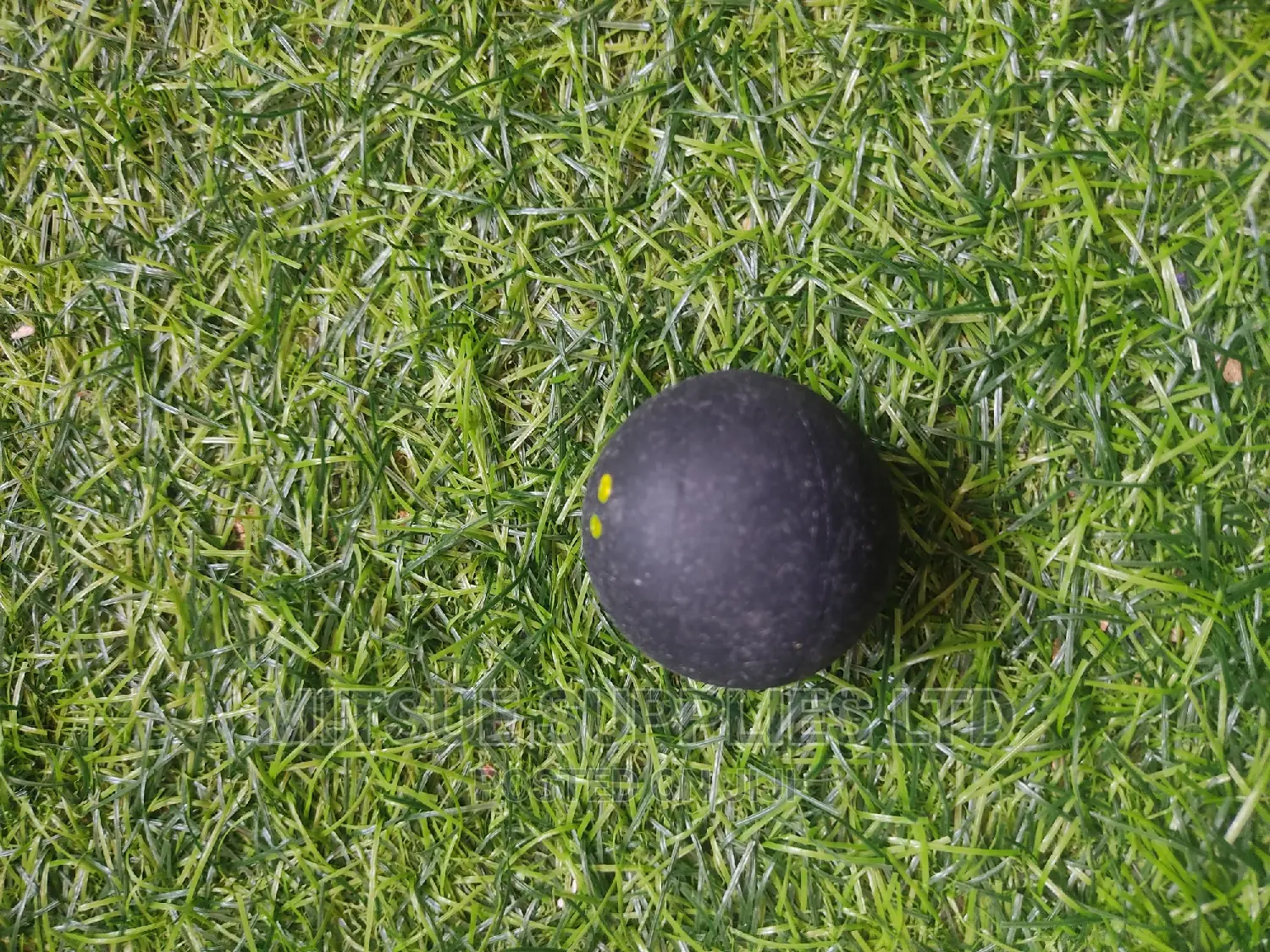 Wish Squash Ball Double Yellow Dot ( Extra Slow)