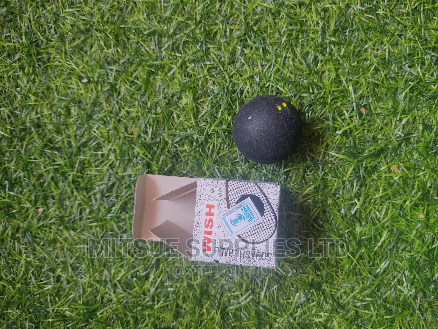 Wish Squash Ball Double Yellow Dot ( Extra Slow)
