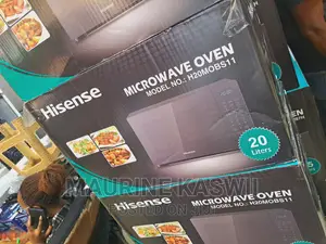Hisense 20 L Black