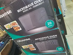 Hisense 20 L Black