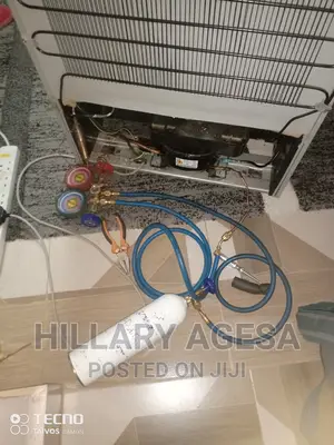 Gas Fridge Maintenances