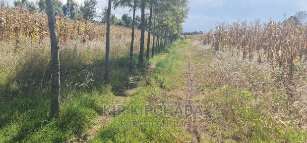 1⁄4 Plot for Sale in Chepkanga Before Mwisho Wa Lami - thumbnail 2