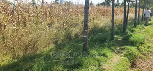 1⁄4 Plot for Sale in Chepkanga Before Mwisho Wa Lami