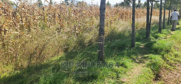1⁄4 Plot for Sale in Chepkanga Before Mwisho Wa Lami - thumbnail 3