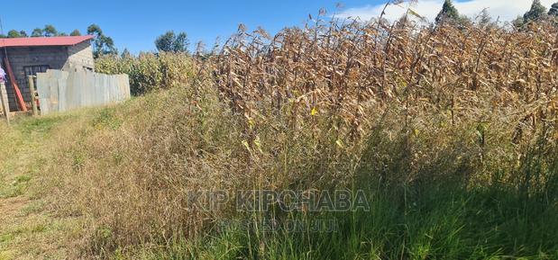 1⁄4 Plot for Sale in Chepkanga Before Mwisho Wa Lami - thumbnail 4