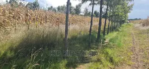1⁄4 Plot for Sale in Chepkanga Before Mwisho Wa Lami
