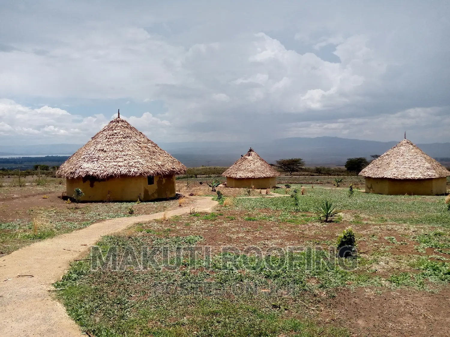 Makuti for Roofing Construction 