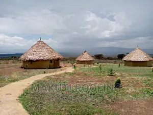 Makuti for Roofing Construction 