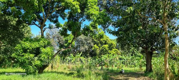 Mtwapa,25-Acres Prime Land on Sale - main view