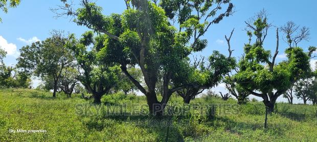 Mtwapa,25-Acres Prime Land on Sale - thumbnail 3