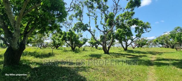 Mtwapa,25-Acres Prime Land on Sale - thumbnail 5