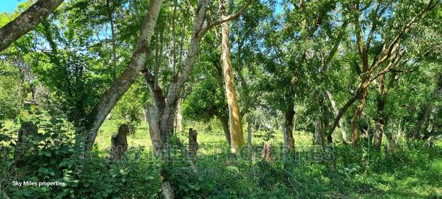 Mtwapa,25-Acres Prime Land on Sale - thumbnail 10