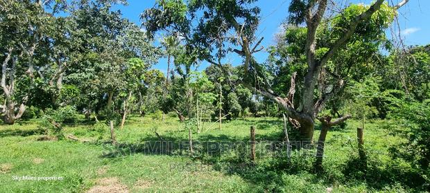 Mtwapa,25-Acres Prime Land on Sale - thumbnail 12