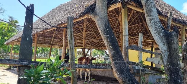 Mtwapa,25-Acres Prime Land on Sale - thumbnail 15