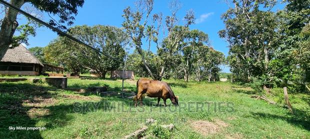 Mtwapa,25-Acres Prime Land on Sale - thumbnail 16