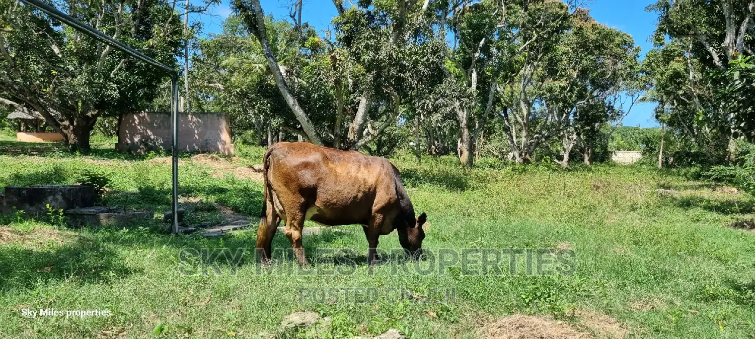 Mtwapa,25-Acres Prime Land on Sale