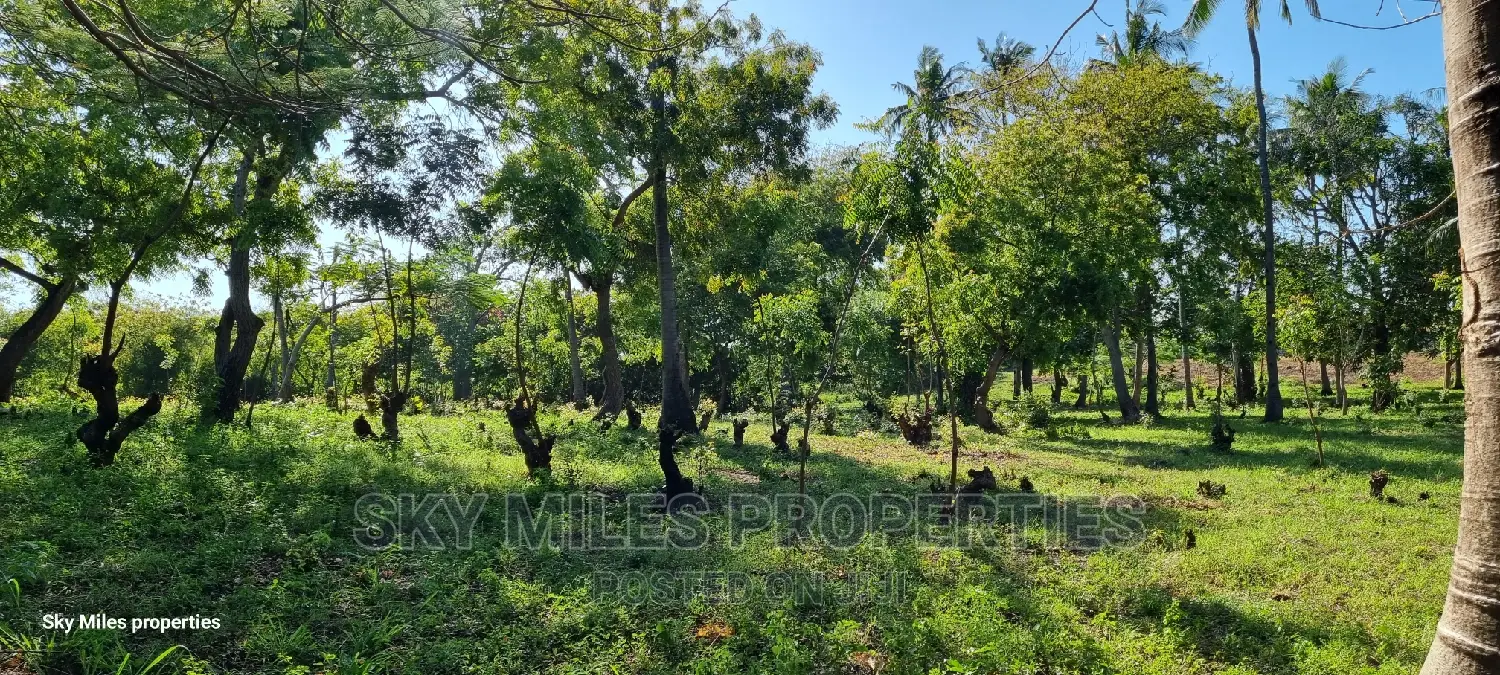 Kikambala,Coastal (1/4) Acre Plots On Sale