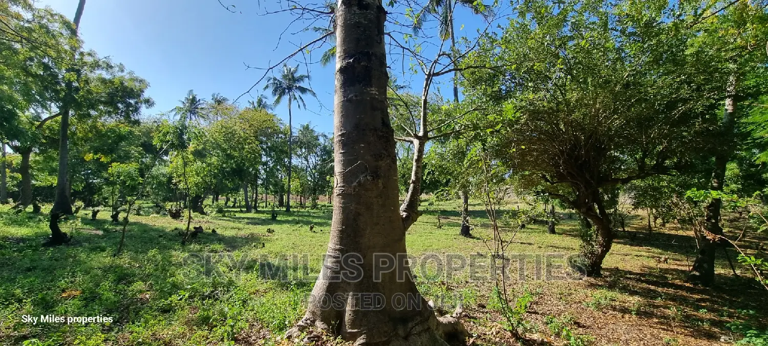 Kikambala,Coastal (1/4) Acre Plots On Sale