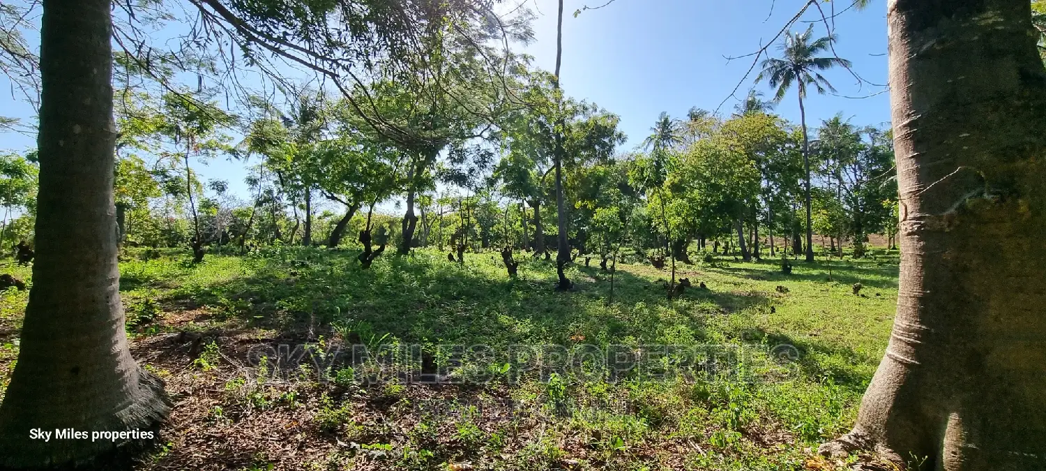 Kikambala,Coastal (1/4) Acre Plots On Sale