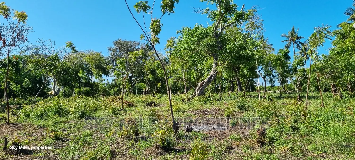 Kikambala,Coastal (1/4) Acre Plots On Sale