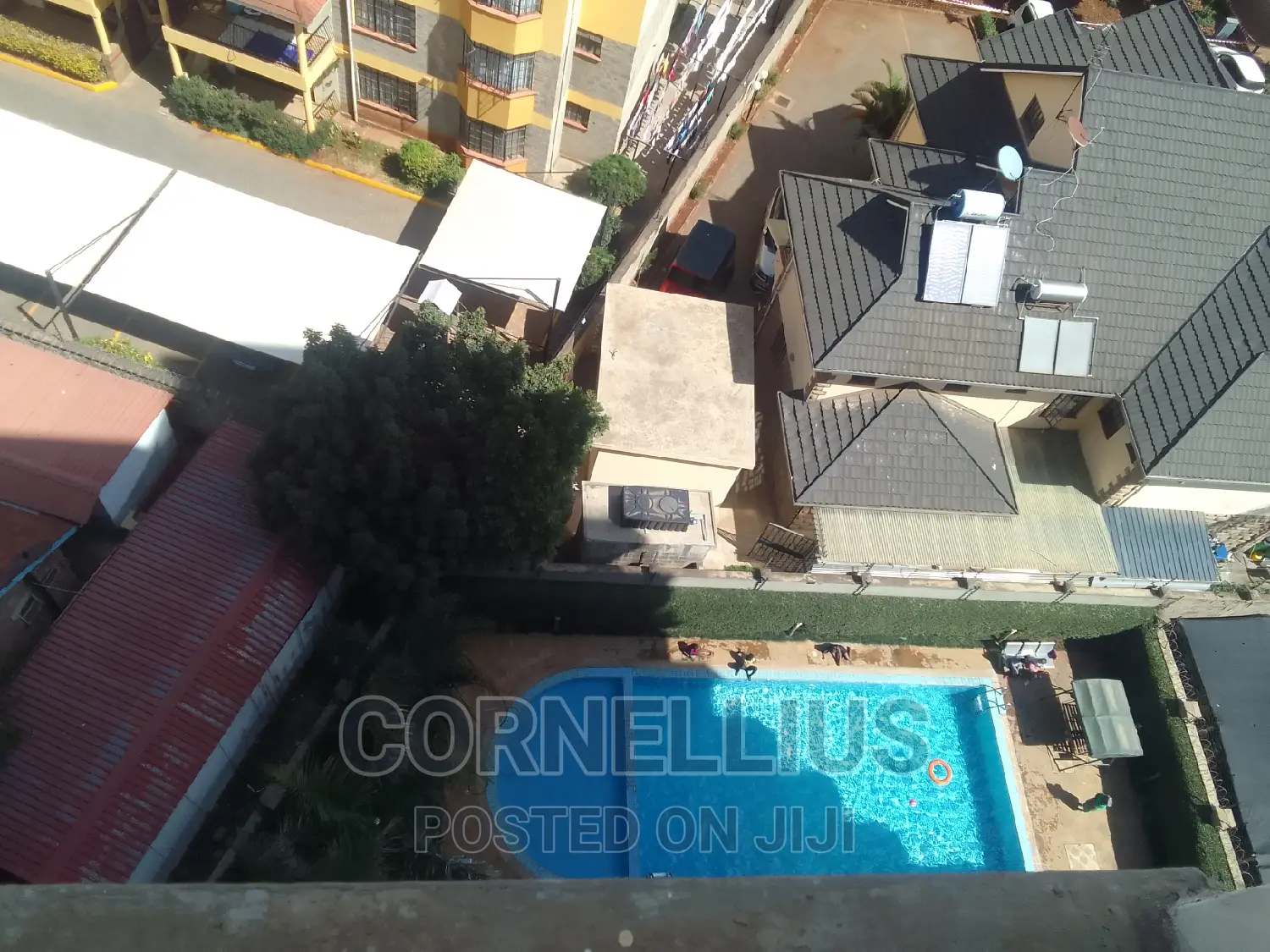 Swimming Pool Cleanings