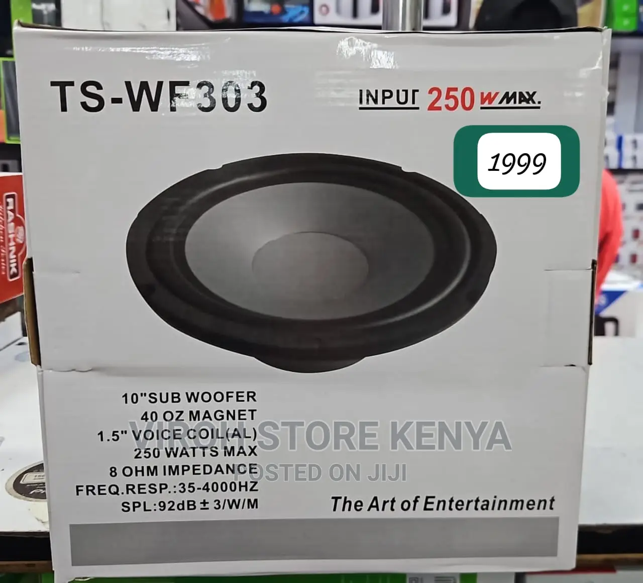 250 Watts 10 Inches Naked Subwoofer / Car Speaker TS303