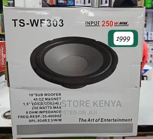 250 Watts 10 Inches Naked Subwoofer / Car Speaker TS303