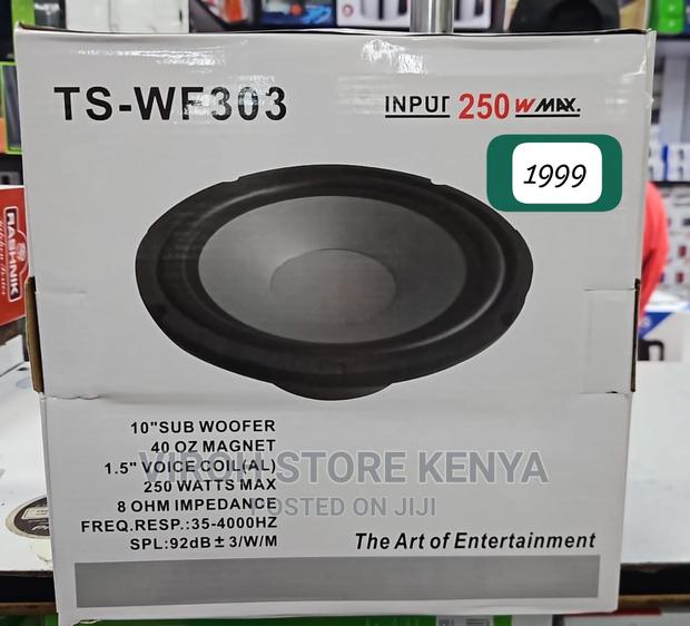 250 Watts 10 Inches Naked Subwoofer / Car Speaker TS303