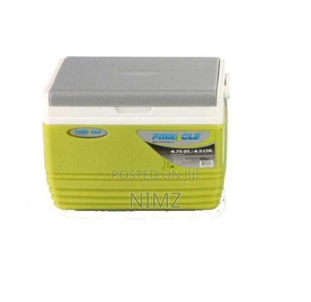 QUALITY Pinnacle 4.5 Litres Cooler Box/Chiller GREEN