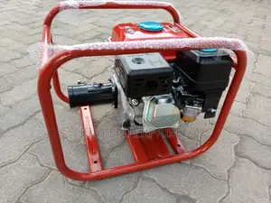 Windsor ,Poker Vibrator Machine