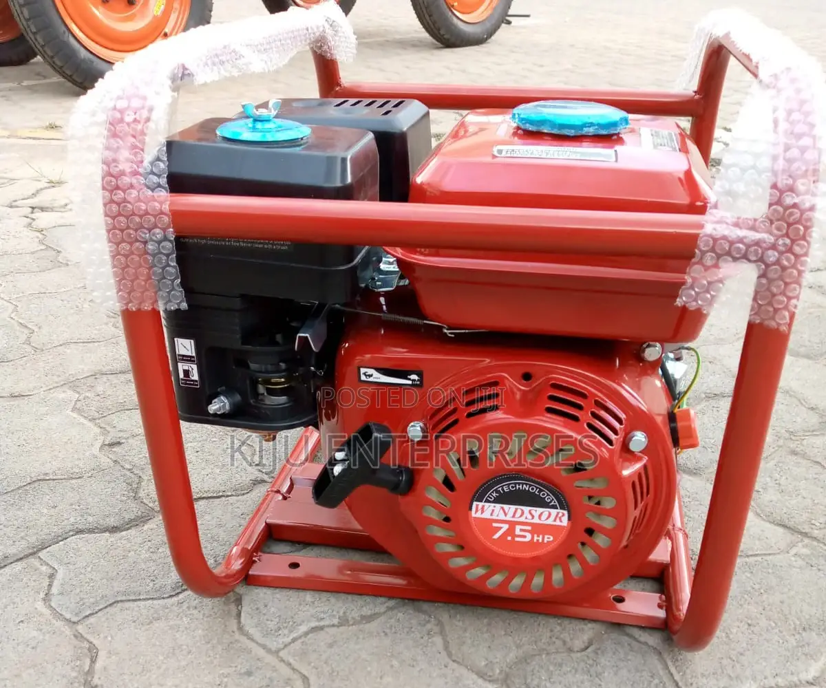 Windsor ,Poker Vibrator Machine