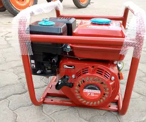 Windsor ,Poker Vibrator Machine