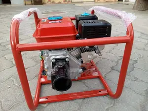 Windsor ,Poker Vibrator Machine