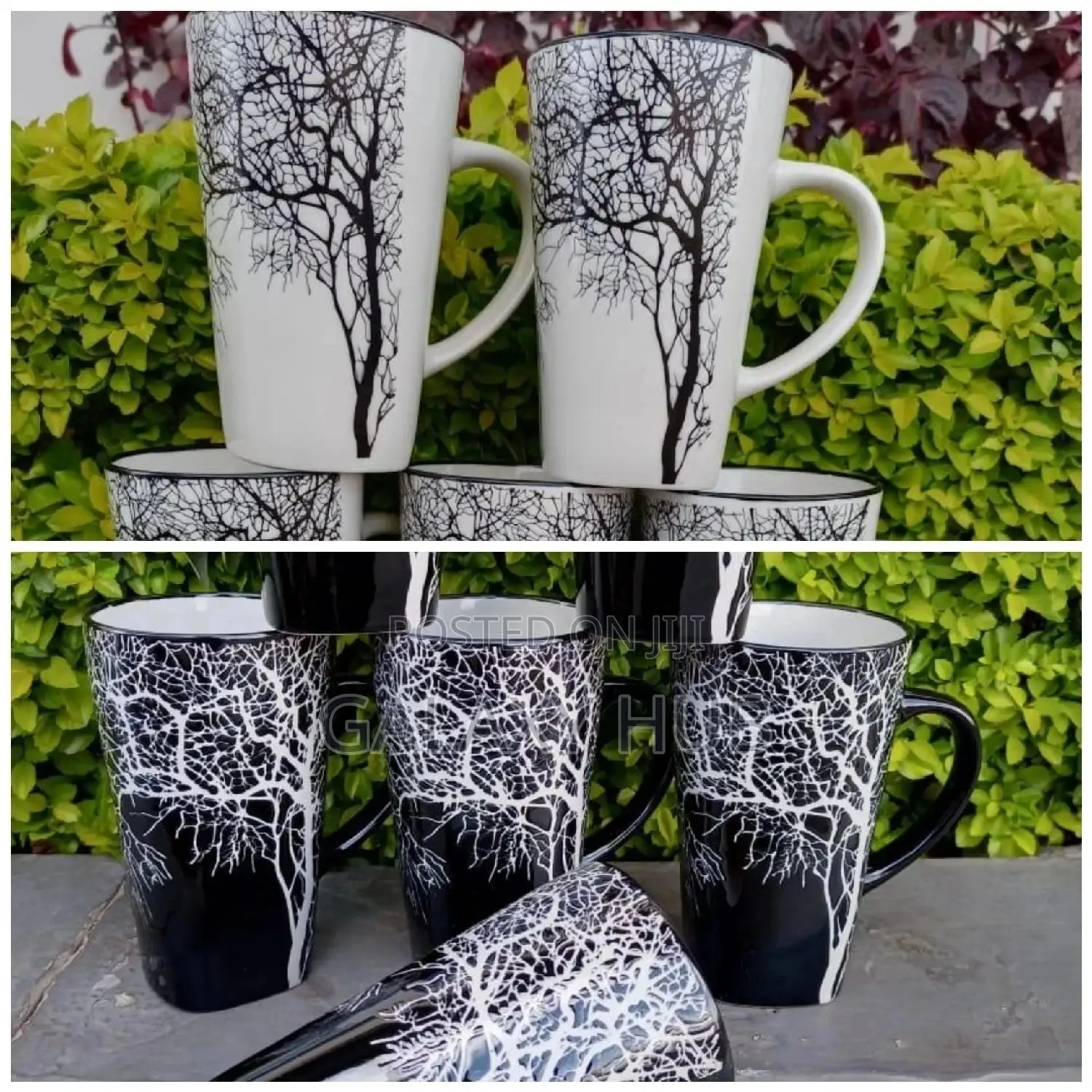 Tree Mugs 6 Pieces Set