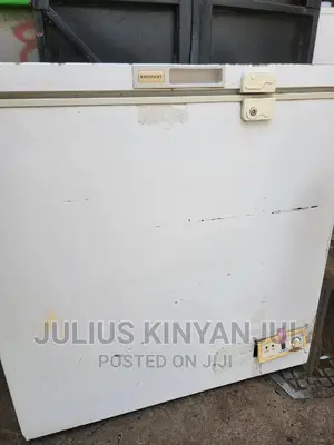 180l Deep Freezer